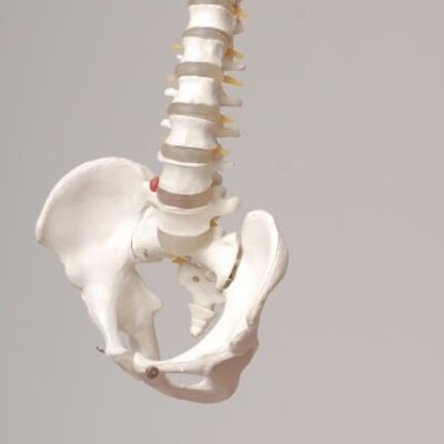 Prolapse: The Good, The Bad, and the Possible with Pilates